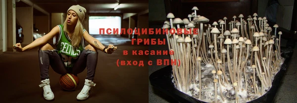 гашик Володарск