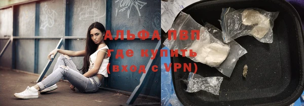 гашик Володарск